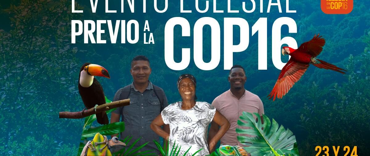 La Iglesia Católica y su compromiso con la protección de la biodiversidad: 200 representantes compartirán experiencias y preocupaciones previo a la COP16